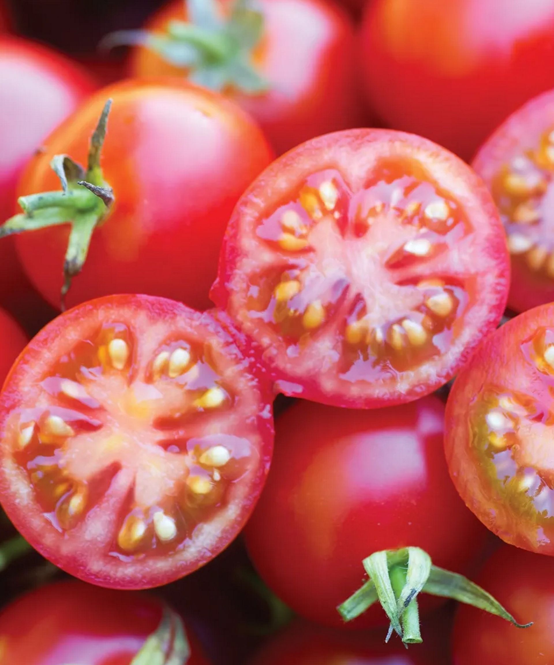 8 of the best tomato varieties to grow at home for bumper harvests and ...