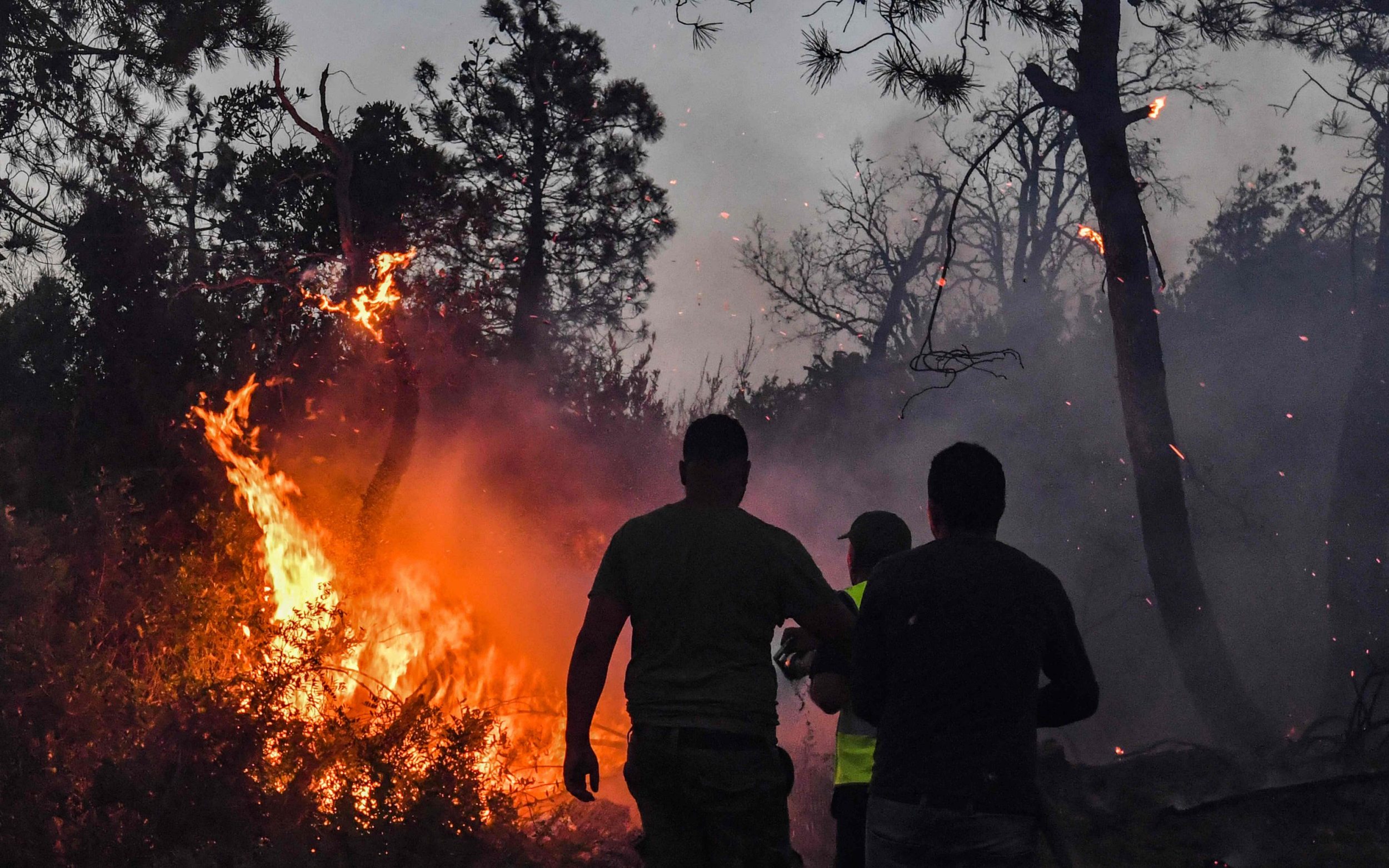 Near the fire. Пожар леса. Пожар фото. Лесные пожары в Тунисе. Лесные пожары в Канаде.