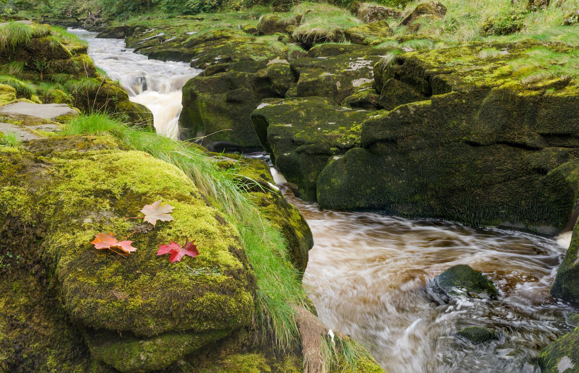 <p>A pinch point in the river, the Strid's churning water is dangerously cold and fast-flowing with strong undercurrents, while its course is pocked with rocky outcrops and underwater caves. The Strid's narrow channel is also deceptively deep, even more so after heavy rain when water levels have been known to rise five feet (1.5m) in less than a minute. An information board at the site says that the Strid is over 30 feet (9m) deep or "more than two double-decker buses on top of each other", and even standing on the mossy rocks that line its banks carries danger as it’s all too easy to slip in.</p>