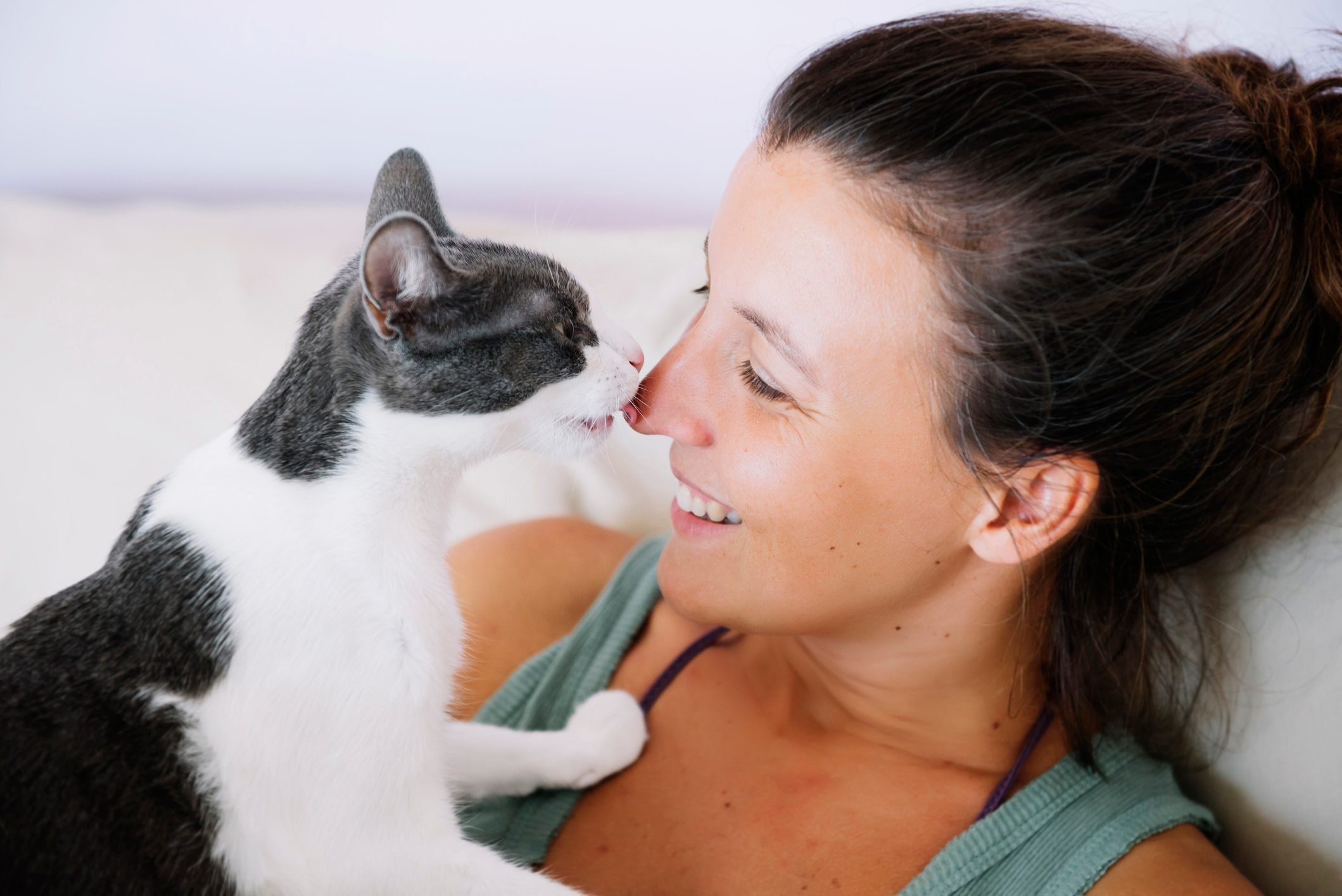 Why Do Cats Lick You Experts Offer Possible Reasons