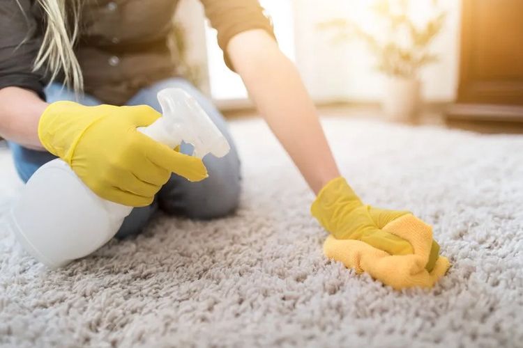 cara mudah bersihkan karpet ketumpahan makanan berkuah lebaran, tidak perlu repot dicuci