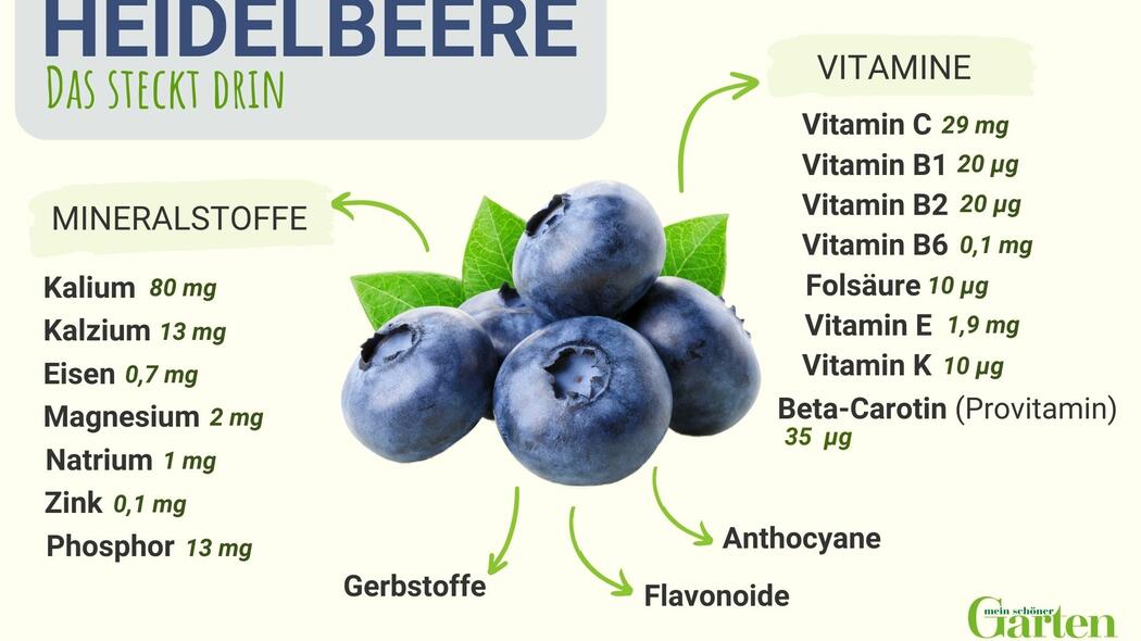 Heidelbeere Kalorien und Nährwerte auf einen Blick