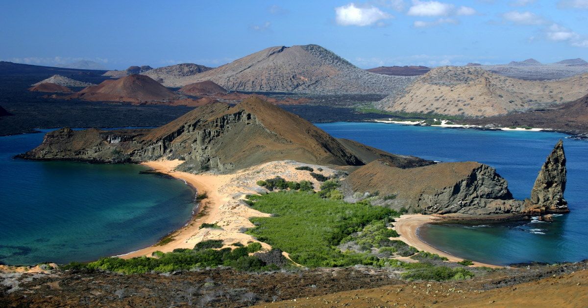 <p> Off the coast of Ecuador are the iconic Galapagos Islands, a must-see destination for eco-tourists. </p><p>Home to giant tortoises, blue-footed boobies, frigate birds, sea lions, iguanas, and lava lizards, this natural wonder is a unique ecosystem unto itself. </p> <p> An eight-day cruise of the islands will allow you to experience all the Galapagos have to offer. But no, it’s not cheap. </p><p class="">  <p><a href="https://financebuzz.com/southwest-booking-secrets-55mp?utm_source=msn&utm_medium=feed&synd_slide=7&synd_postid=12690&synd_backlink_title=7+Nearly+Secret+Things+to+Do+If+You+Fly+Southwest&synd_backlink_position=6&synd_slug=southwest-booking-secrets-55mp">7 Nearly Secret Things to Do If You Fly Southwest</a></p>  </p>