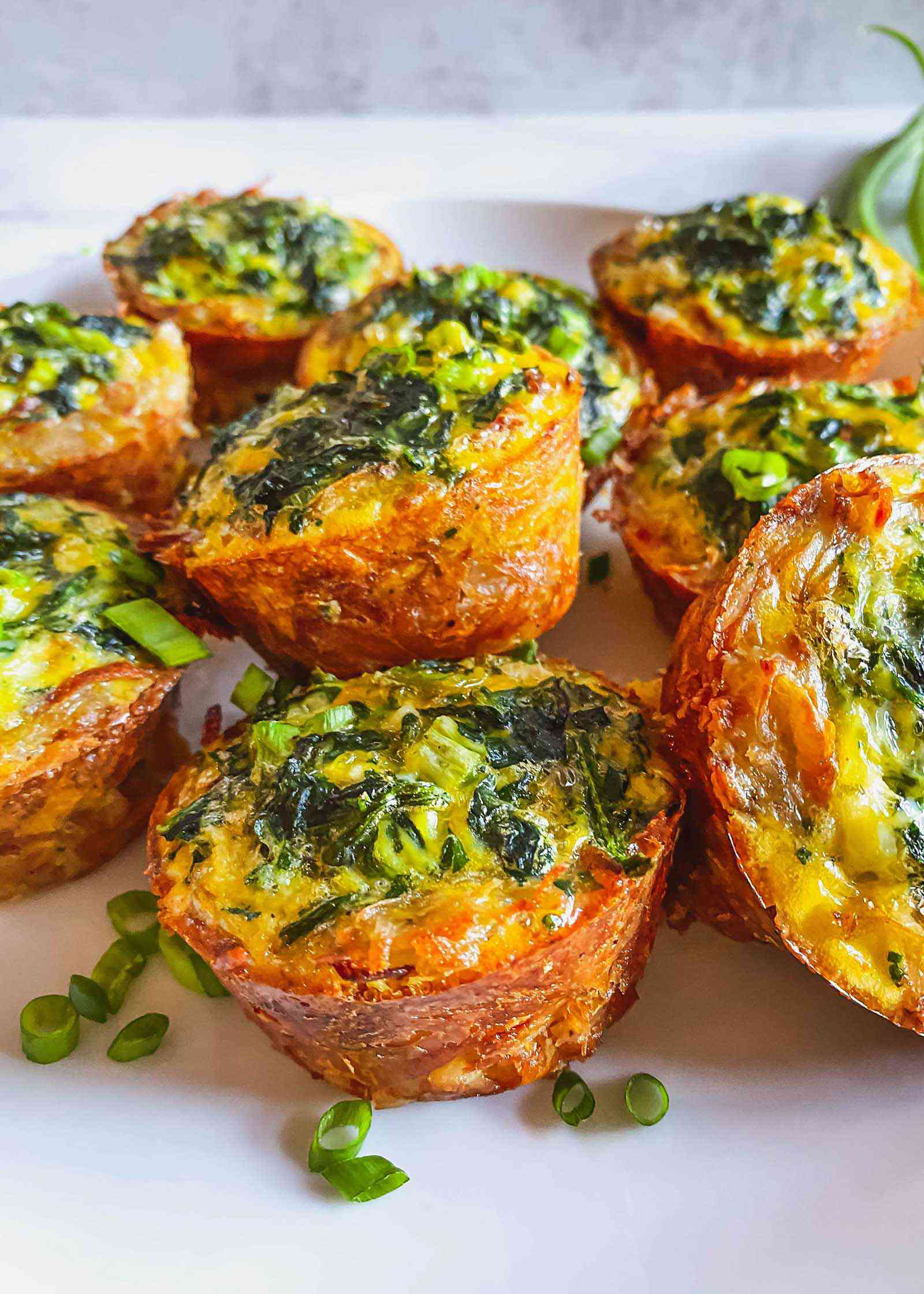 25 Savory Breakfasts Ideas to Power Up Your Mornings