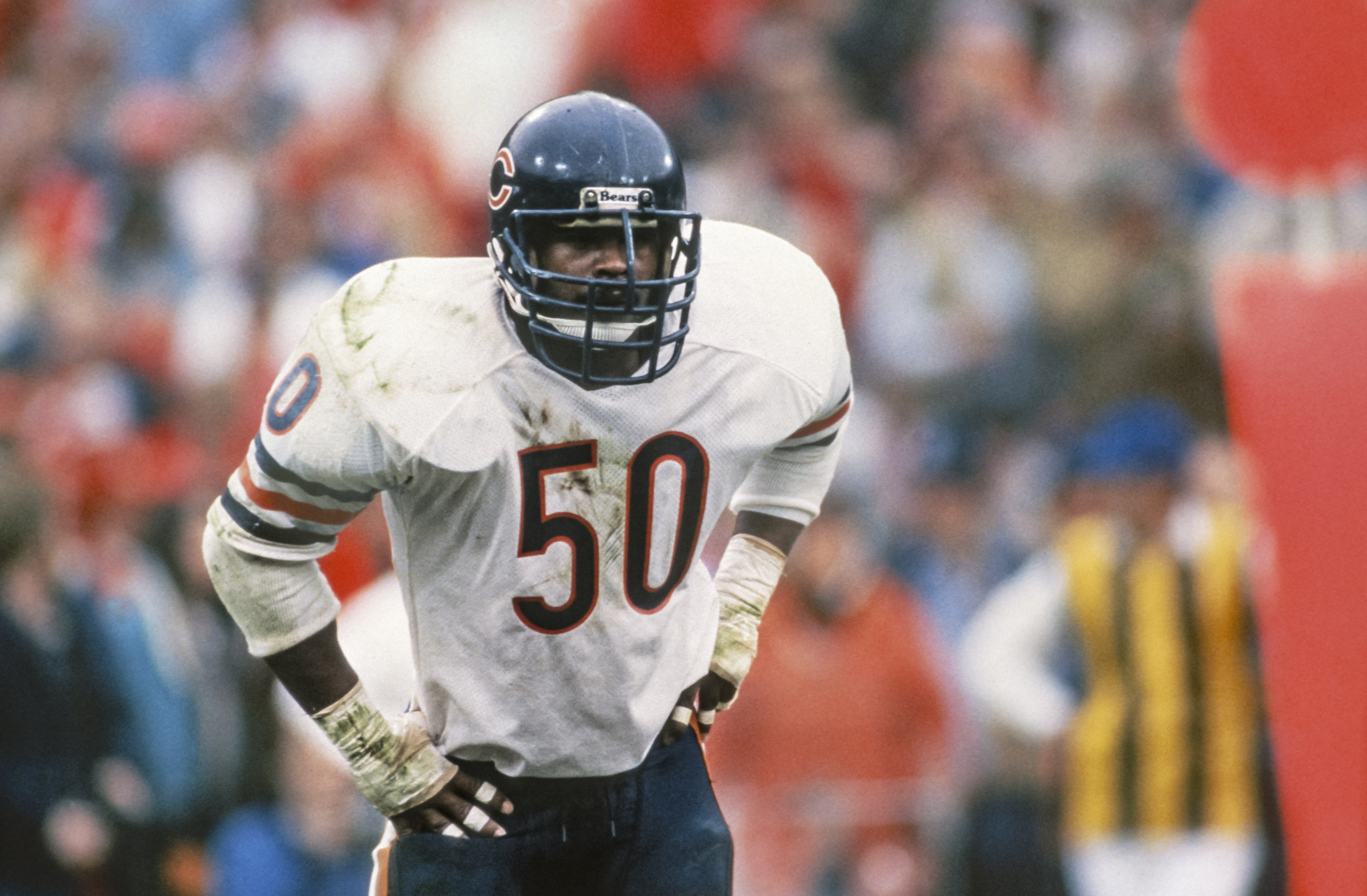 Майк видео. Майкл Синглтери. Майк Маллот. Mike. (Born Michael Francis Seander). Hall of Famer Mike Singletary heads up the all-time Baylor NFL Team.