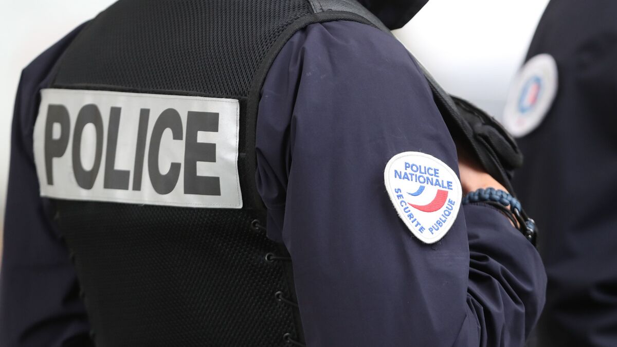 ultradroite : il voulait passer à l’acte, un jeune homme de 23 ans présenté à un juge antiterroriste à paris