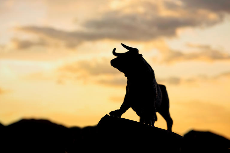 3 Canadian growth stocks that could lead the next bull market