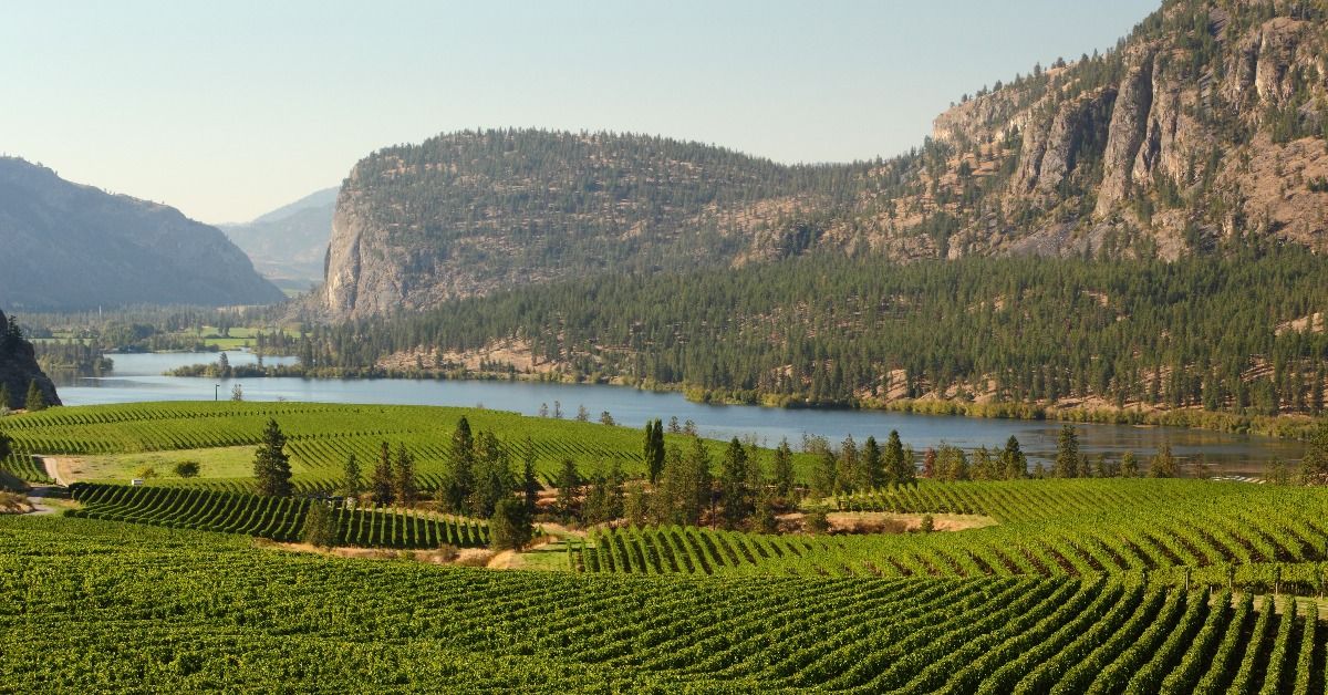 <p> In the Southern Interior of British Columbia, the Okanagan Valley is a must-visit for any nature lover.  </p> <p> The Okanagan Valley has something for everyone, with its beautiful lakes and mountains. And don't forget to check out the local wineries, which offer some of the best wine in the country.</p><p>  <p class=""><a href="https://financebuzz.com/top-signs-of-financial-fitness?utm_source=msn&utm_medium=feed&synd_slide=7&synd_postid=12715&synd_backlink_title=5+Signs+You%E2%80%99re+Doing+Better+Financially+Than+the+Average+American&synd_backlink_position=6&synd_slug=top-signs-of-financial-fitness-2">5 Signs You’re Doing Better Financially Than the Average American</a></p>  </p>