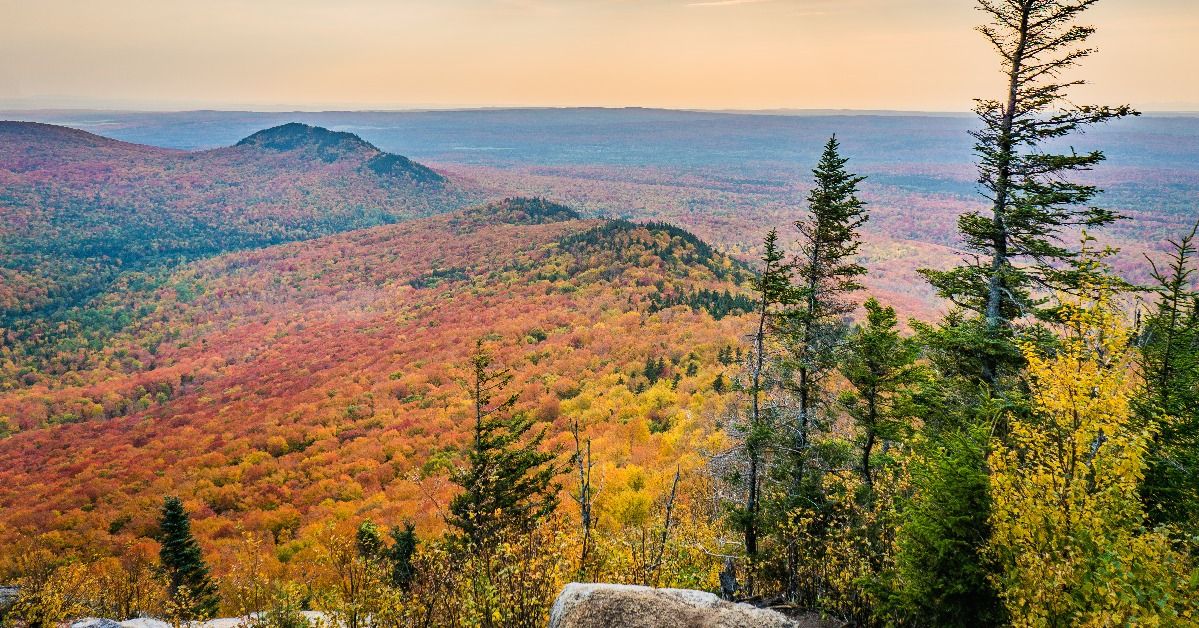 <p> Quebec’s Eastern Townships are a group of charming towns in the province of Quebec. These towns are home to beautiful scenery, unique architecture, and that all-too-delicious food, poutine. </p>