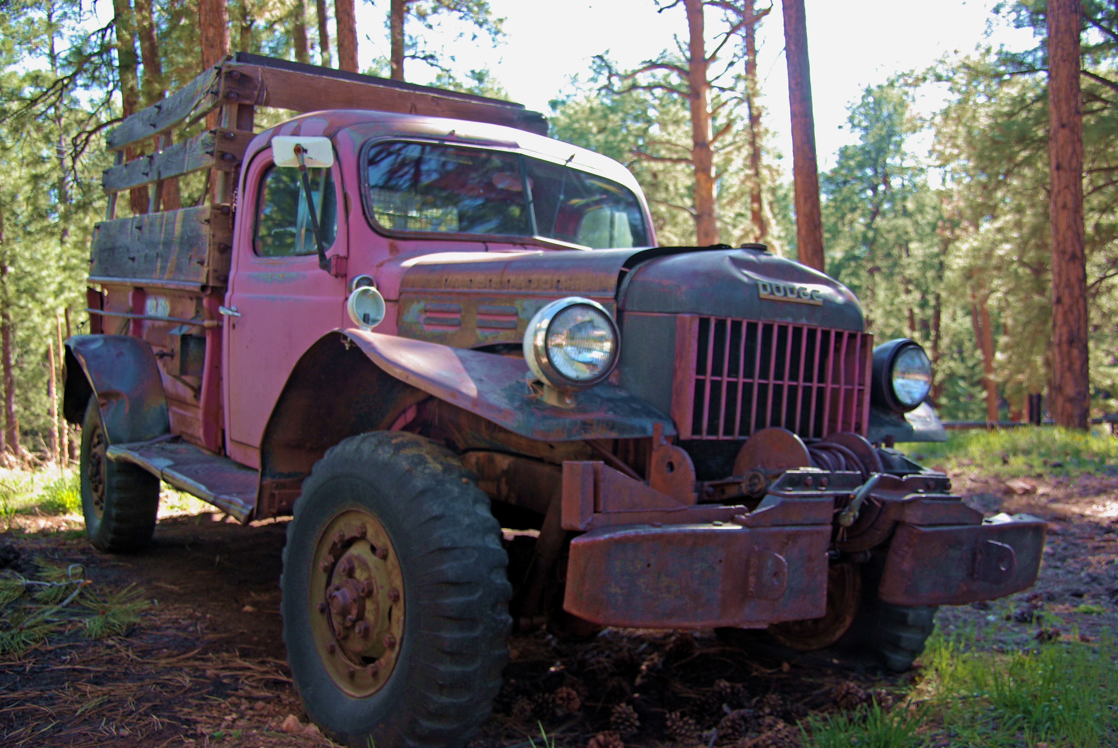 The Hottest Cars Of The 1950s