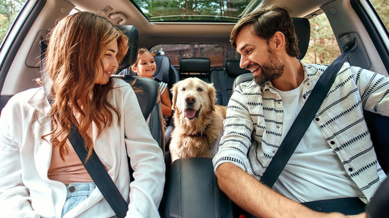 A family and dog on a road trip 