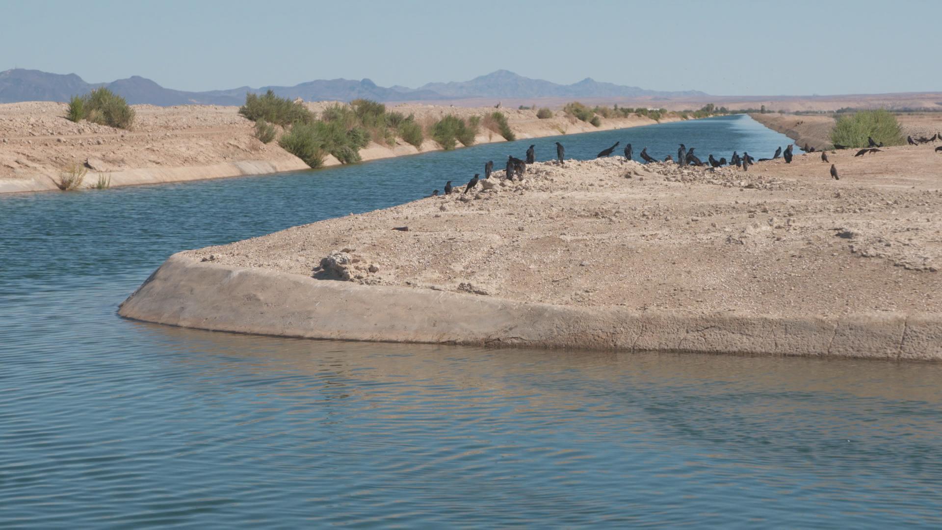 Drought Forcing Tough Water Decisions In Colorado River Basin