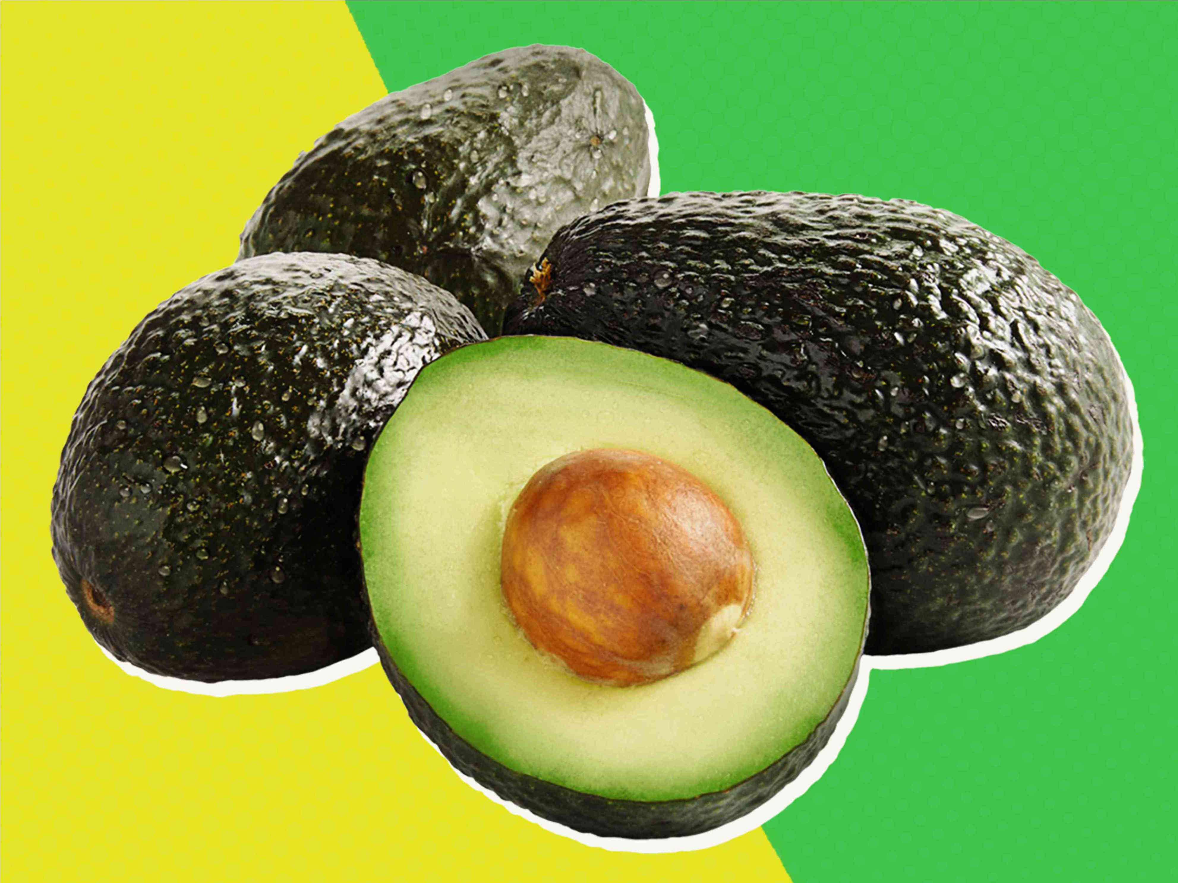 It takes about 15-20 years to bring a new <b>avocado</b>. 