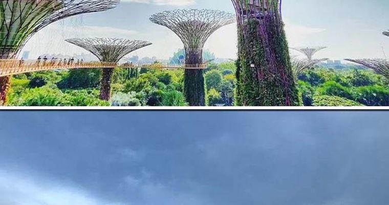 Garden by the Bay to Marina Bay: 7 MUST visit places when in Singapore