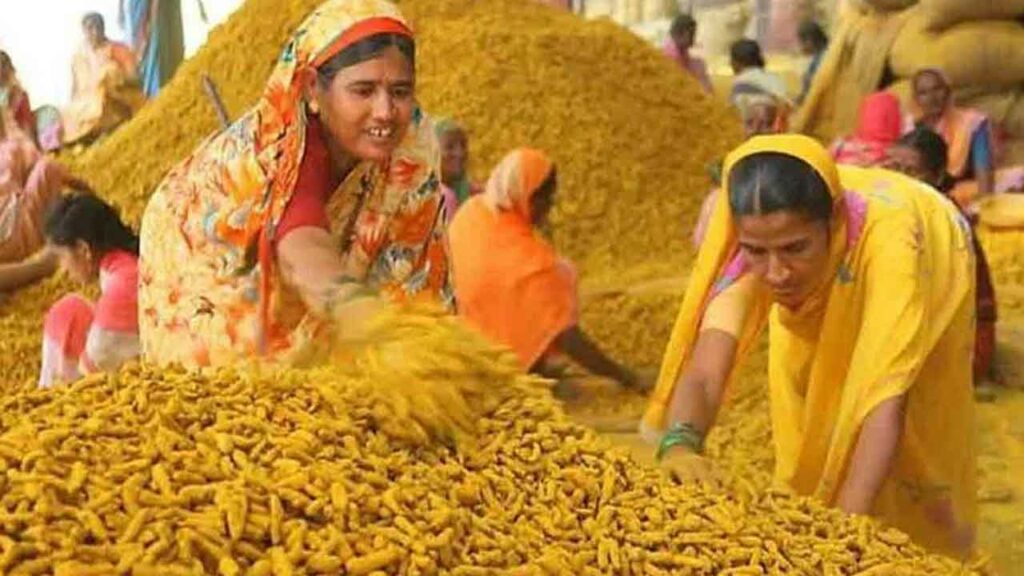 Применение индия. Куркума Индия. Турмерик в Индии. Желтый цвет в Индии. Индийская женщина с куркумой.