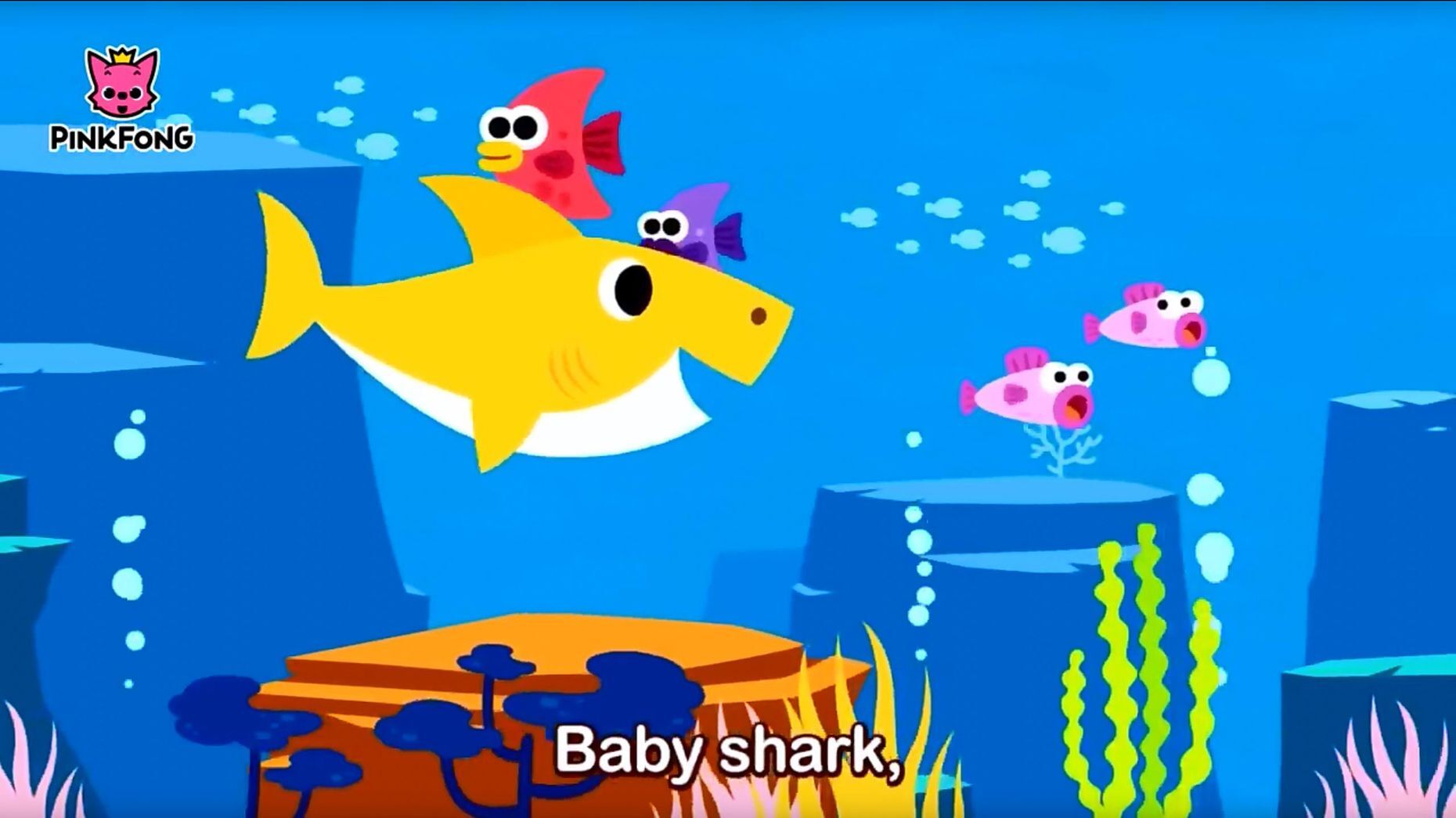 Baby shark pinkfong где послушать. Беби Шарк. Baby Shark фон. Пинкфонг рыбки. PINKFONG Baby Shark.