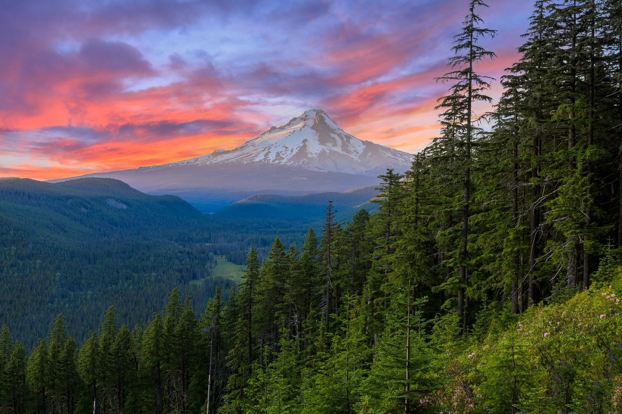 <p>Oregon's southern Cascade Mountains are the stars of this spirited 172-mile route through Umpqua National Forest. Instead of taking Interstate 5 between the towns of Gold Hill and Rosenberg, this route follows the natural flow of Oregon's fabled Rogue and Umpqua rivers as travelers pass an array of waterfalls, gorges, and rushing water that seems little altered by the course of history. </p><p><b>For more great travel guides and vacation tips, <a href="https://cheapism.us14.list-manage.com/subscribe?u=de966e79b38e1d833d5781074&id=c14db36dd0">please sign up for our free newsletters</a>.</b></p>