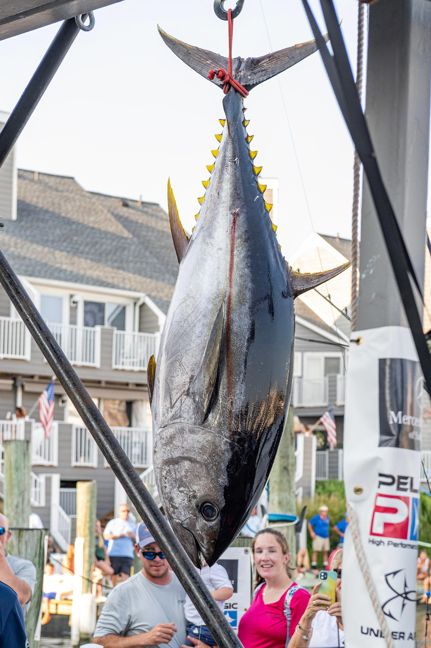 White Marlin Open leaderboard Tuna and wahoo on top for day 3