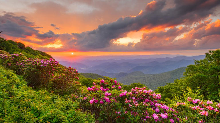 Where To The Find The Best National Parks In The South