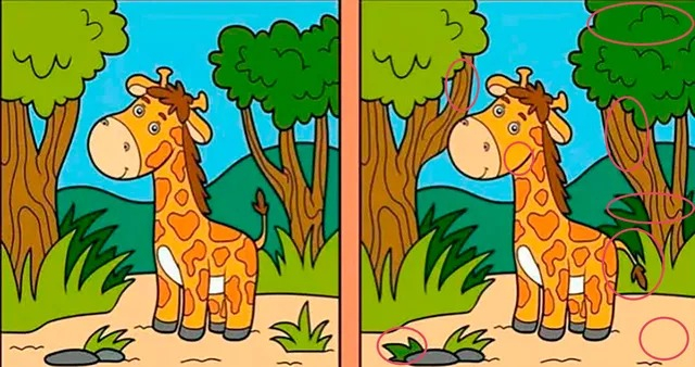 el reto visual más extremo: ¿podrás hallar las 8 diferencias en la jirafa?