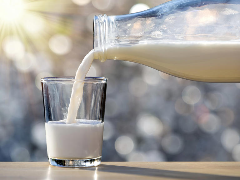 Organic Farm Raided Over Illegal Raw Milk Following Illness Outbreak