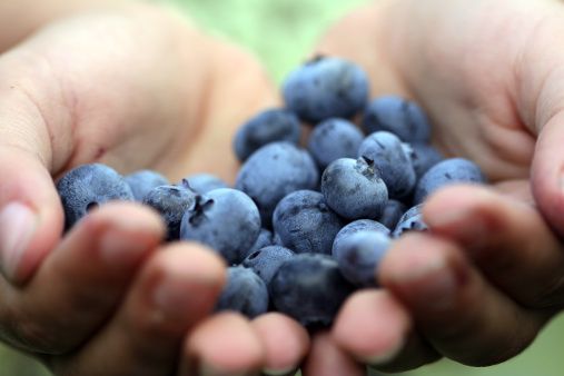la fruta que ayuda a prolongar la longevidad: estos son sus beneficios