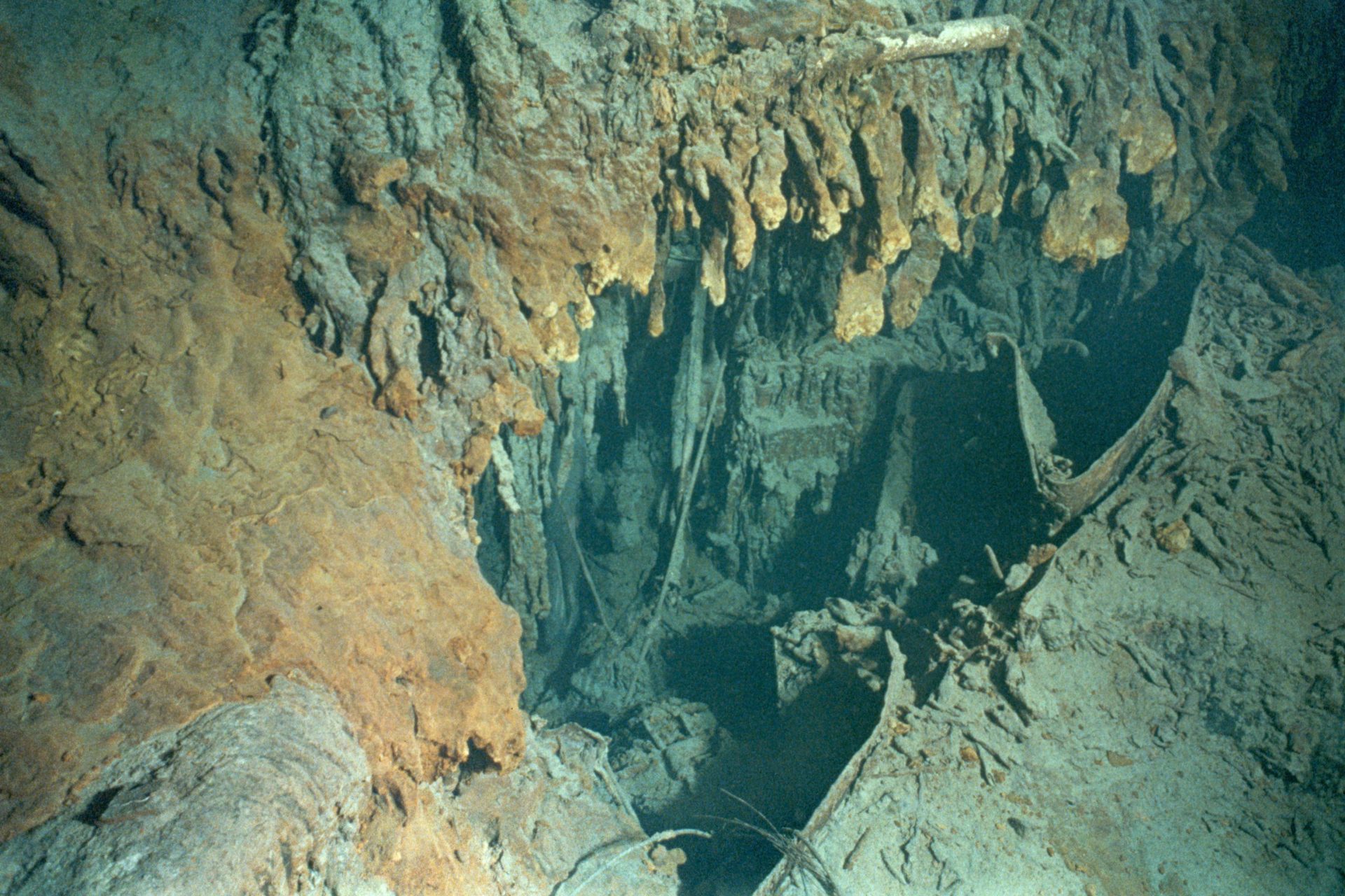 Meet the unexpected creatures living on the remains of the Titanic