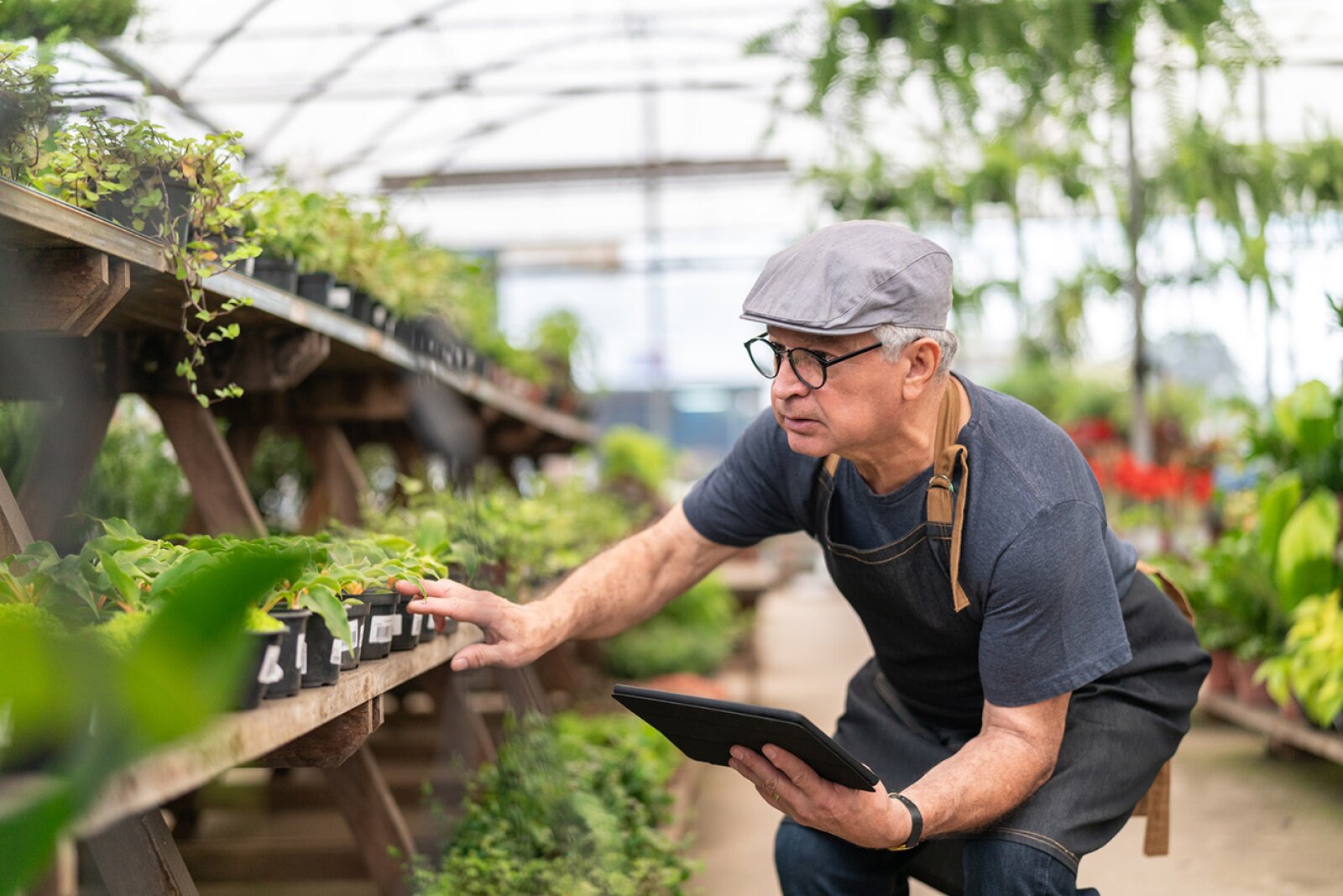 Исследование растений. Фильм исследование растений. Инструменты агронома фото. Garden Technician.