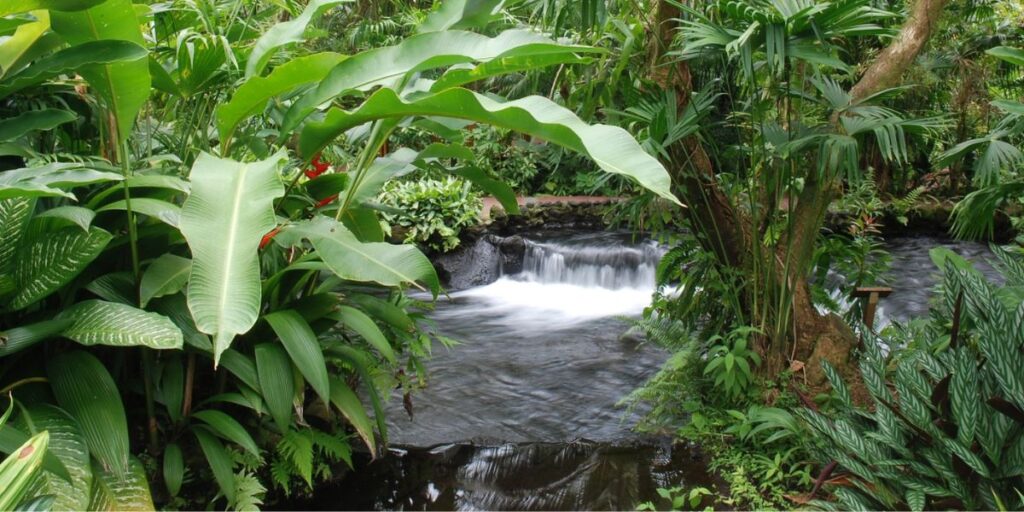 <p>After a day of adventures in La Fortuna, get a truly local experience by stopping at one of the <a href="https://letsjetkids.com/best-sodas-in-la-fortuna-eat-on-a-budget/" rel="noreferrer noopener">sodas in La Fortuna</a>. These restaurants are delicious, affordable, and true local cuisine.</p><p>Relax sore muscles, and a tired body at the beautiful Tabacon Hot Springs.  You can stay as a guest or visit on a day pass. The hot springs here are magazine-worthy, designed with beauty and relaxation in mind.</p>