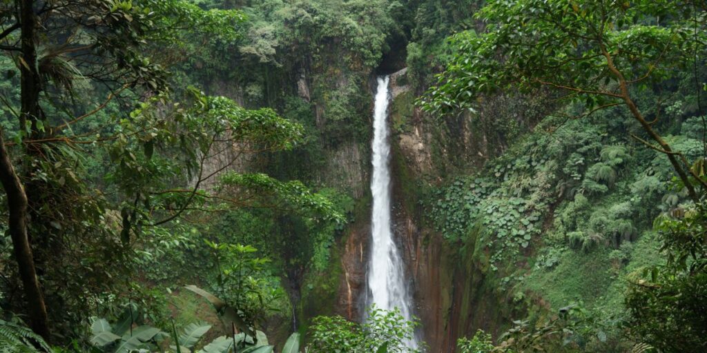 <p>When people think about going to Costa Rica, the first thing they often picture is zip-lining through the canopy of the jungle, surrounded by monkeys, sloths, and other rainforest animals.</p><p>There are many zip line adventures to choose from in La Fortuna, each allowing you to soar through the trees in the safety of a steel cable and harness. You’ll soar past waterfalls, through jungles, across canyons, and enjoy unique views of Arenal Volcano up high.</p>