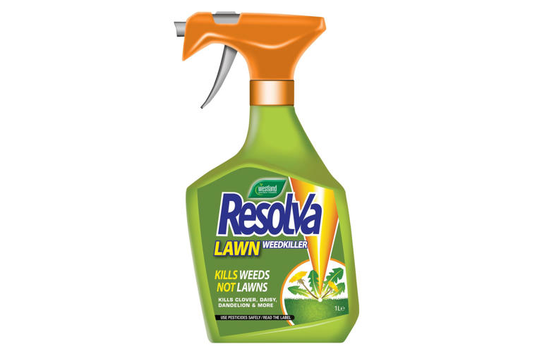 Best weed killers to keep your lawn, paving or driveway clear