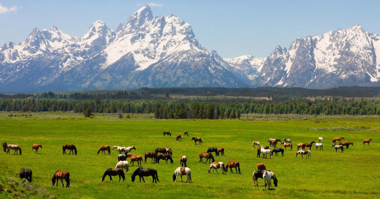 10 Things To Do In Grand Teton National Park: Complete Guide To Wyoming's Most Scenic Landscape