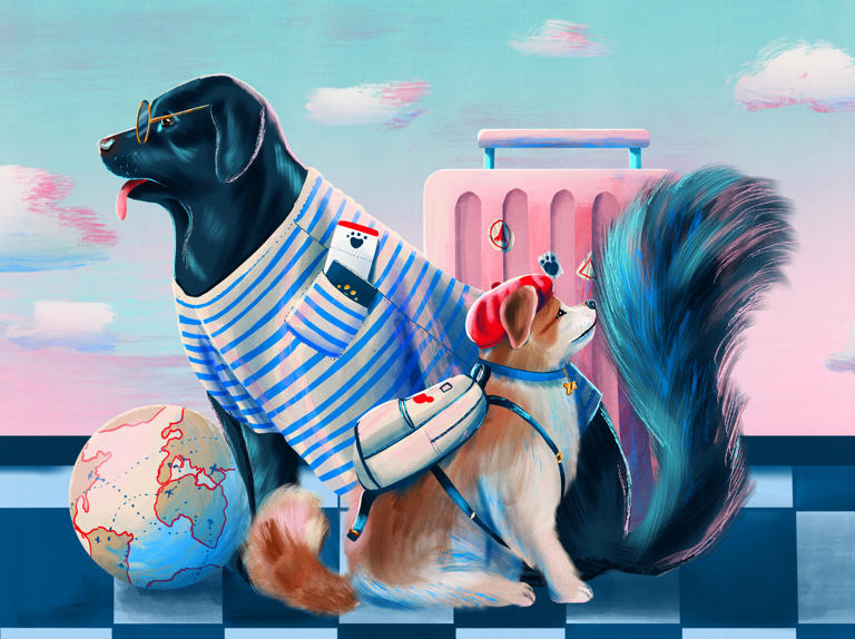 The essentials of traveling abroad with your dog