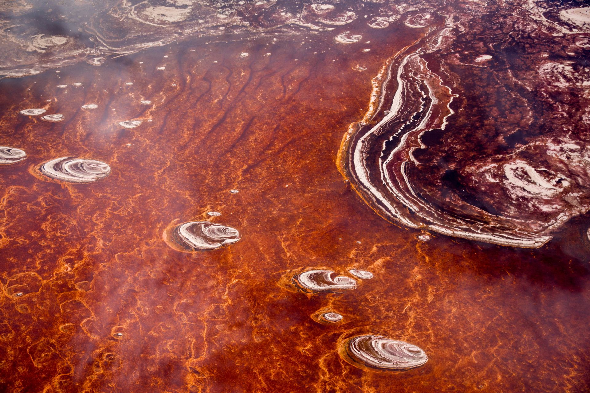 <p>Le lac Natron est si caustique qu'il ressemble à de la rouille liquide vu du ciel. L'alcalinité du lac peut atteindre un pH supérieur à 12 et la température de l'eau peut parfois atteindre 60°C. Donc vous l'aurez compris, ce n'est pas un endroit idéal pour faire trempette !</p>