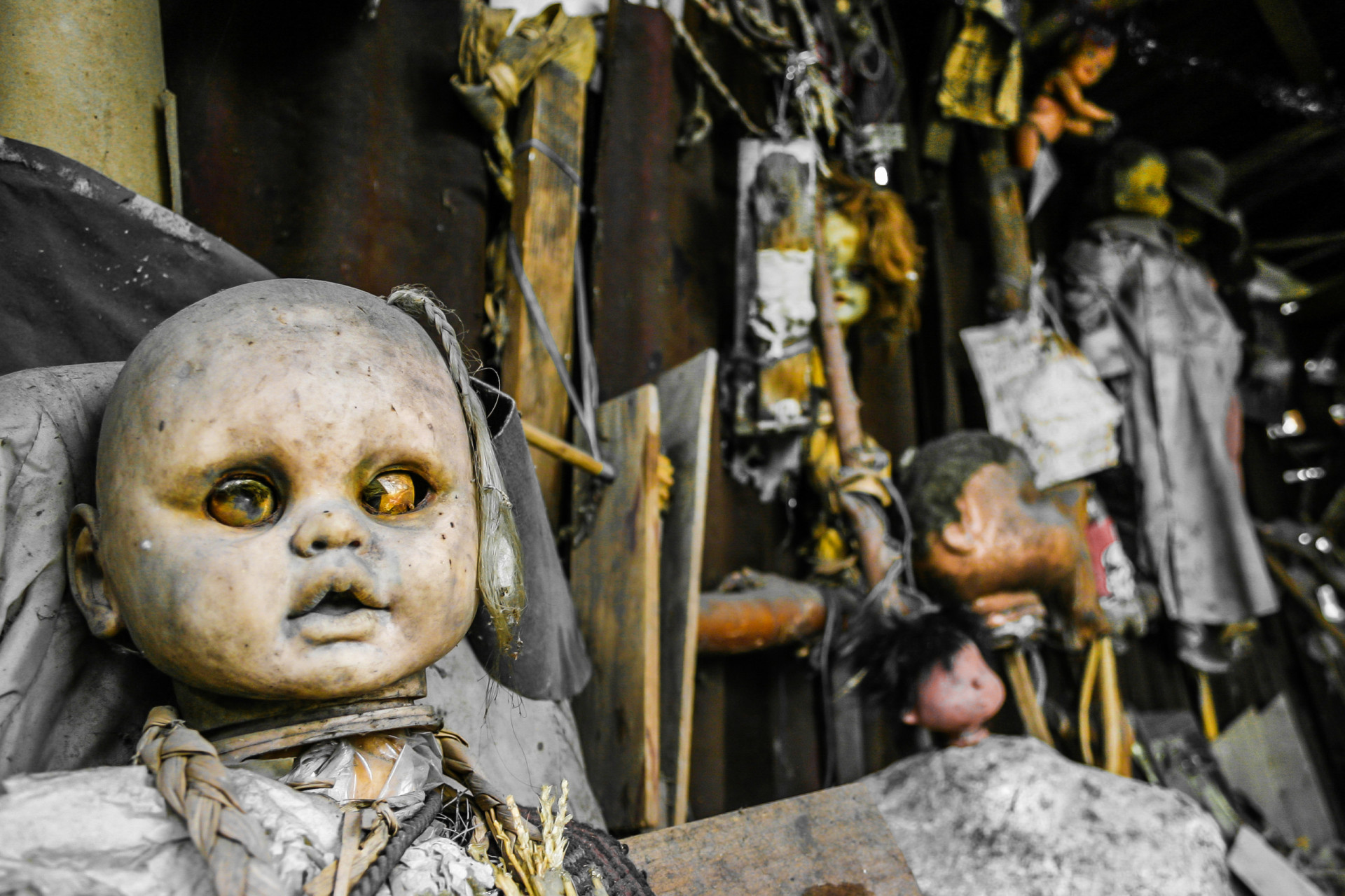 <p><a href="https://www.starsinsider.com/fr/voyage/227232/lile-aux-poupees-le-lieu-le-plus-angoissant-du-monde" rel="noopener">Des centaines de poupées</a> apparaissent dans les forêts insulaires de Xochimilco, près de Mexico. Cette installation malsaine aurait été inspirée par la découverte du corps d'un jeune enfant dans l'un des canaux...</p>