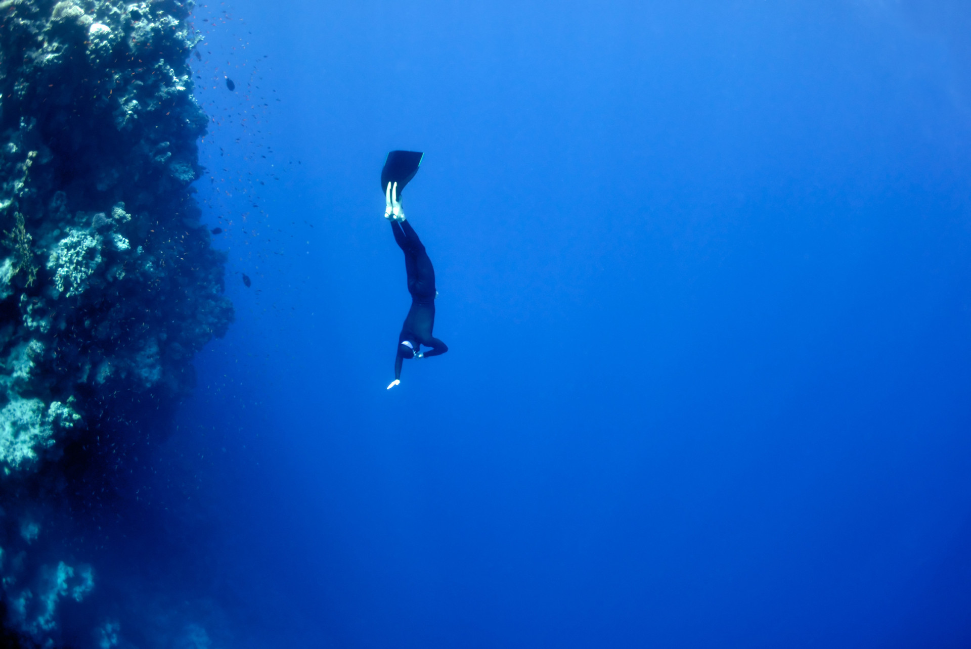 <p>Seuls les plongeurs les plus courageux et les plus expérimentés se lancent dans l'exploration du Trou Bleu. Ce gouffre sous-marin de 120 mètres de profondeur, situé sur la côte de la mer Rouge, est surnommé le "cimetière des plongeurs" en raison des quelque 200 décès enregistrés chaque année par les autorités. Sa notoriété lui a valu le surnom de "Trou Noir".</p>