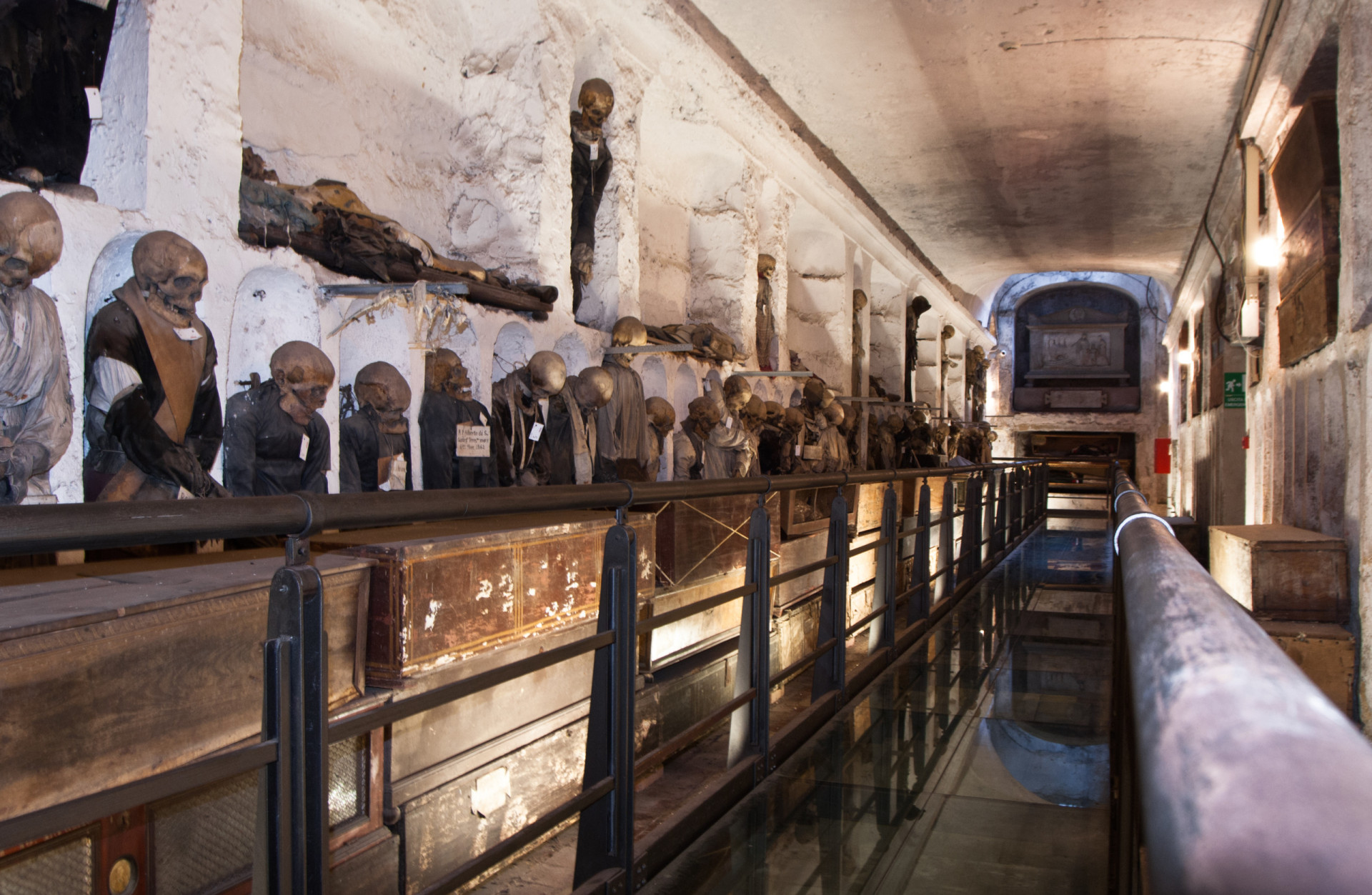 <p>Datant du XVIe siècle, les catacombes des Capucins à Palerme, en Sicile, accueillent les curieux avec quelque 8 000 cad-vres et 1 252 momies, dont beaucoup dans un état de conservation remarquable.</p>
