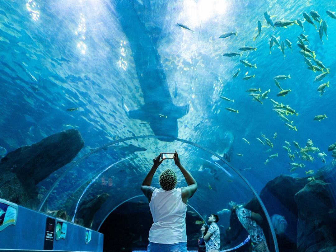 The most beautiful aquariums around the world