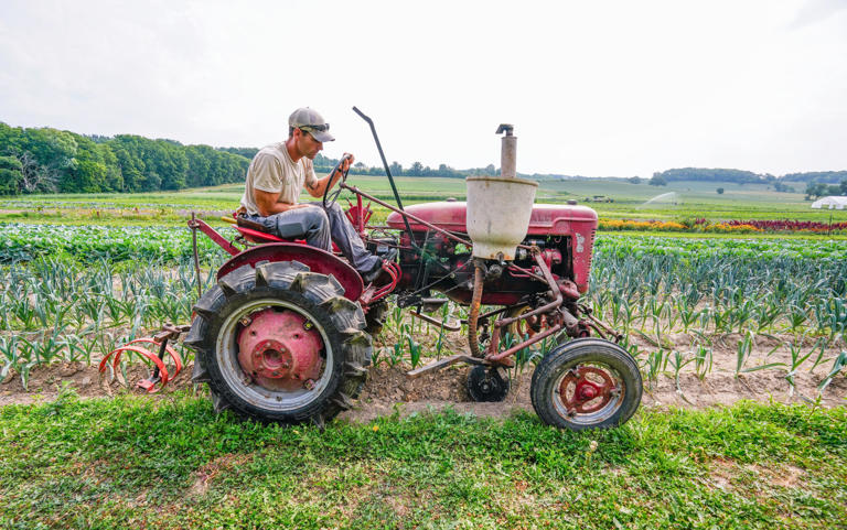 Organic farm apprentice Brian Randall tills the leeks at Gwenyn Hill Farm in Waukesha on Tuesday, August 7, 2023.
