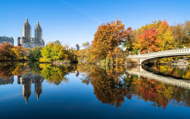 Central Park has many elements: to explore, from ponds and orchards to rock formations and meadows. - Copyright 2020 Michael Lee/Michael Lee