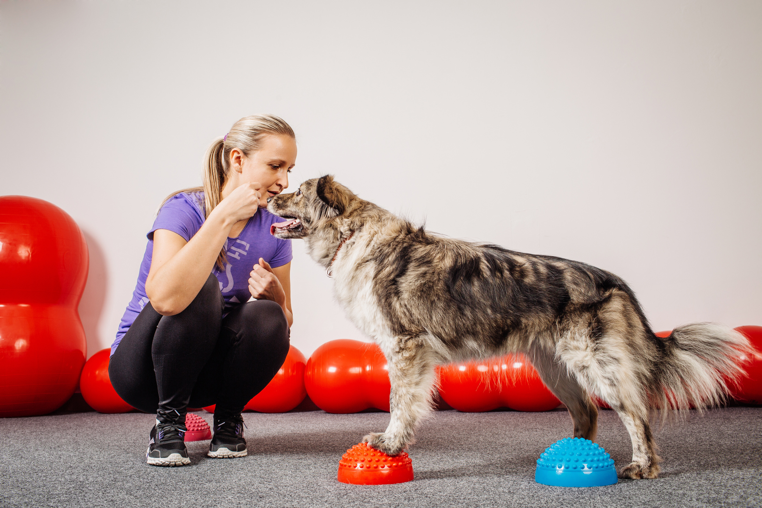 <p>If you work long hours or don't have tons of time to dedicate to training your new pet, consider hiring a trainer. They're experienced in dealing with common issues, like barking or scratching and can knock out problematic behaviors quickly and effectively. </p><p><a href='https://www.msn.com/en-us/community/channel/vid-cj9pqbr0vn9in2b6ddcd8sfgpfq6x6utp44fssrv6mc2gtybw0us'>Follow us on MSN to see more of our exclusive lifestyle content.</a></p>