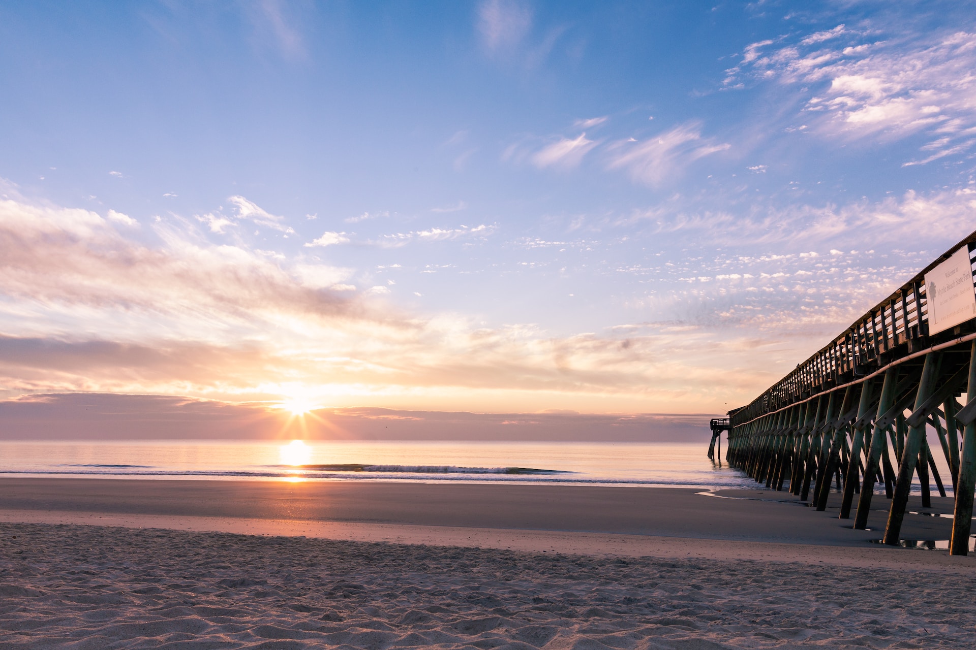 The most shark-infested beaches in the world