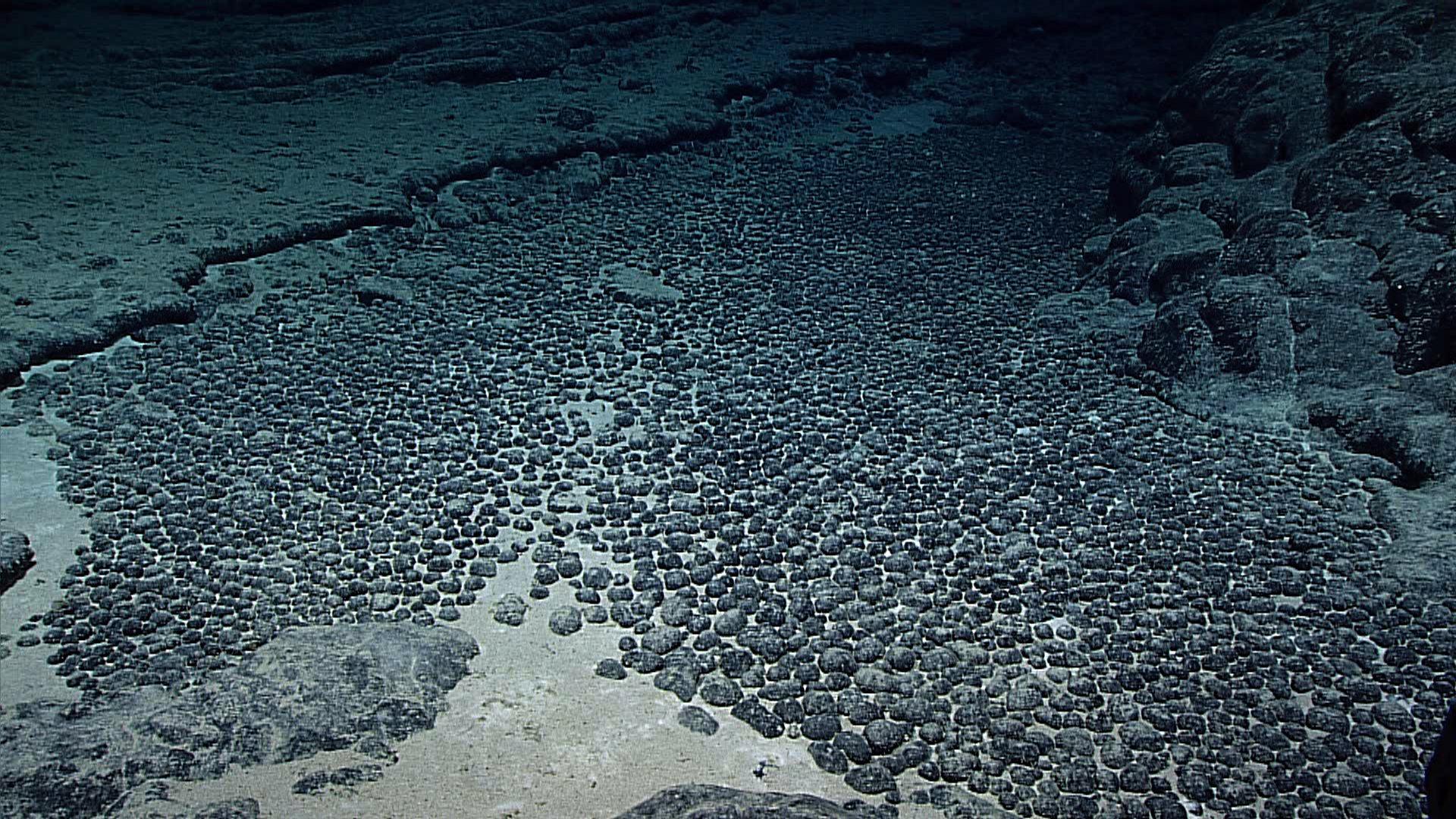Почему вода серая. Железомарганцевые конкреции в океане. Марганцевые конкреции на дне океана. Железомарганцевые конкреции на дне океана. Железно марганцевые конкреции.