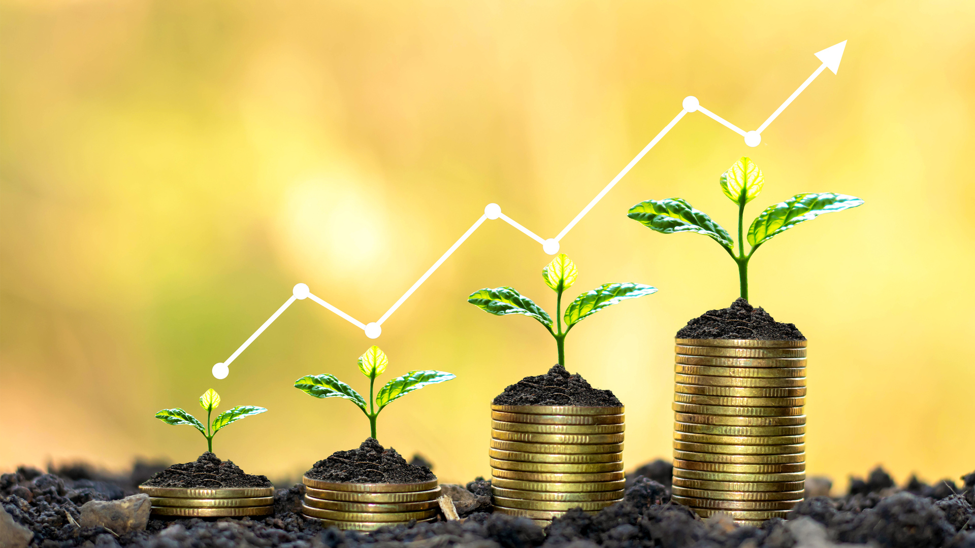 5 Pricey Investments That Are Worth Every Penny