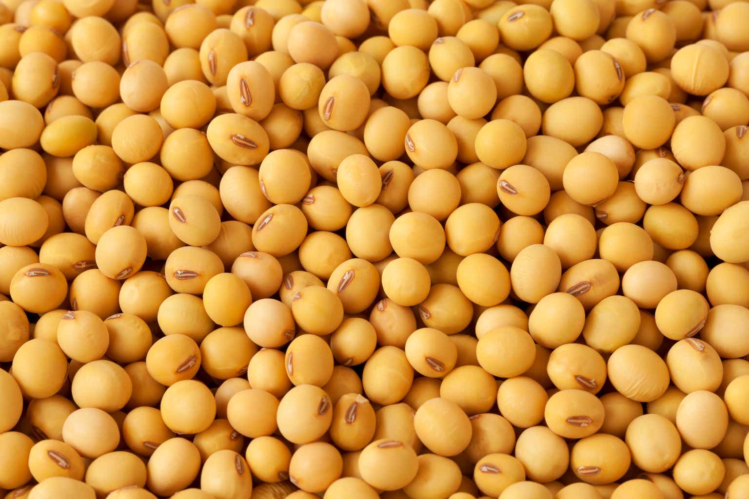Soybean futures slide to seven-week low despite Chinese purchases