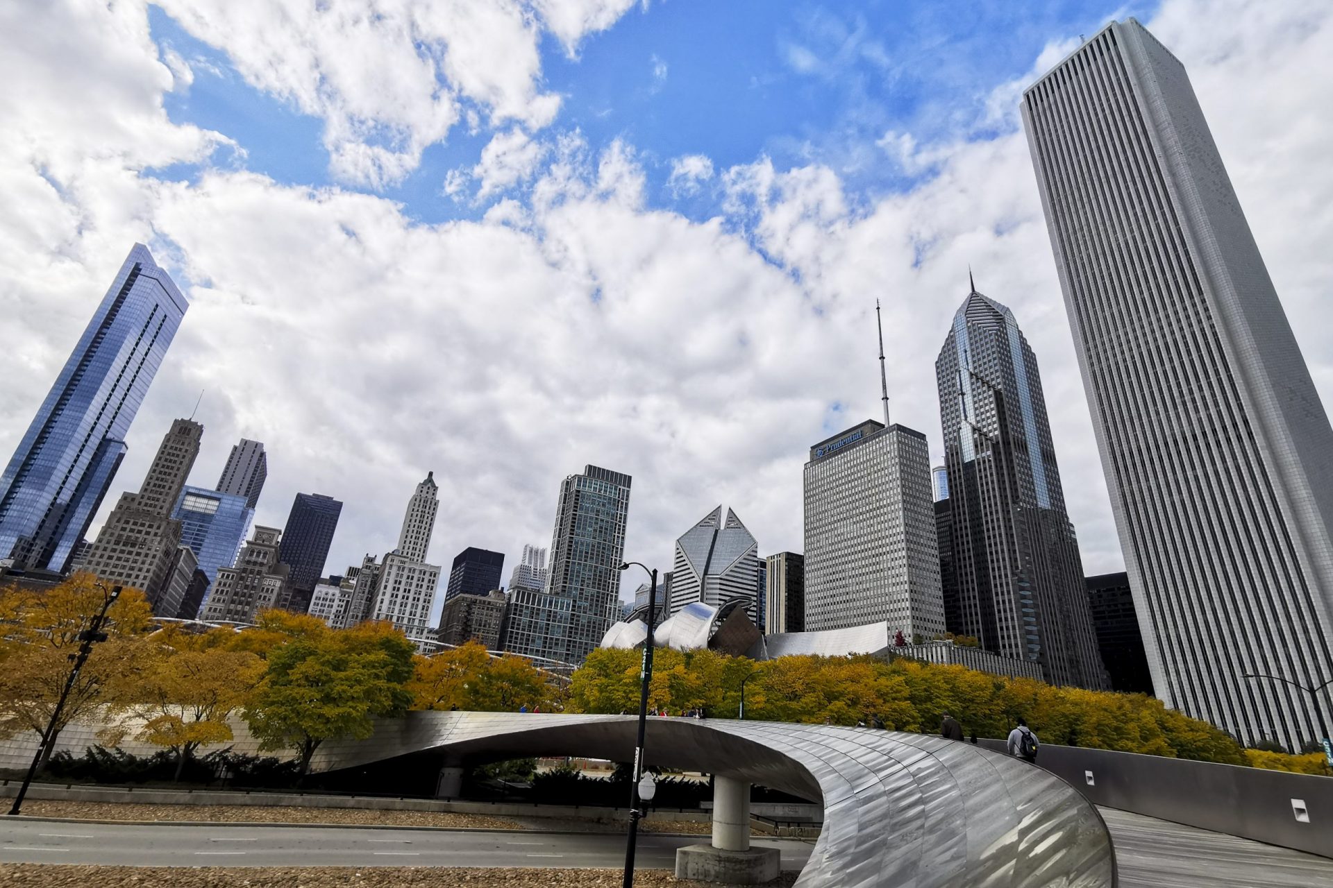 Les Animaux Sont-ils Intelligents ? La Science Répond