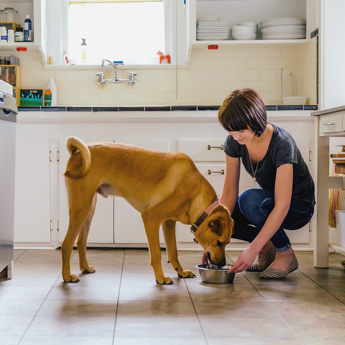 <p>Want your dog to get as close to a natural diet as possible? Opt for fresh food. Dr. Burch likes using recipes from websites like <a href="https://secure.balanceit.com/index.php" rel="noopener noreferrer">BalanceIt.com</a> and <a href="https://www.petdiets.com/Homemade-Diets" rel="noopener noreferrer">PetDiets.com</a>, which, for a small fee per recipe, provide you with customized, vet- and nutritionist-approved recipes specifically formulated for your dog based on his age and breed. "Recipes from these sources will also ensure your pet's diet meets all the necessary minerals, vitamins, and nutrients needed for a healthy life," she says, since most dog food recipes you'll find online are not nutritionally balanced. (In fact, in an independent study of 200 homemade recipes for adult dogs conducted by the School of Veterinary Medicine at University of California in 2013, only 2.5 percent were nutritionally balanced.) On these sites, you can expect tailored recipes for large dog breeds that you can whip up at home, like meals made with beef, brown rice, peas, and carrots.</p> <p><strong>Highlights:</strong></p> <ul> <li>Easy recipes</li> <li>Great for picky eaters</li> <li>Customizable</li> </ul> <p class="listicle-page__cta-button-shop"><a class="shop-btn" href="https://secure.balanceit.com/index.php">Shop Now</a></p>