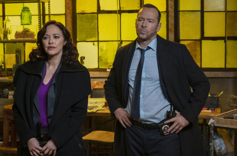 Everything we know so far about Blue Bloods season 14