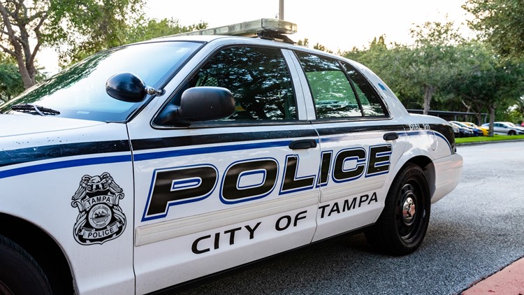 Tampa Police: Crash Leaves Pedestrian Dead