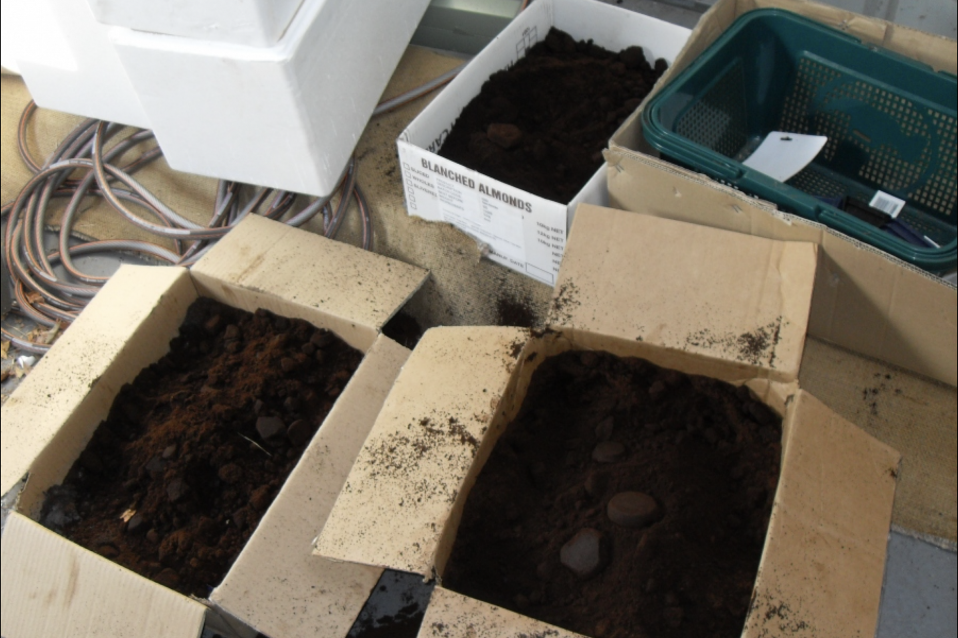 Australia's ground-breaking construction innovation: coffee grounds!